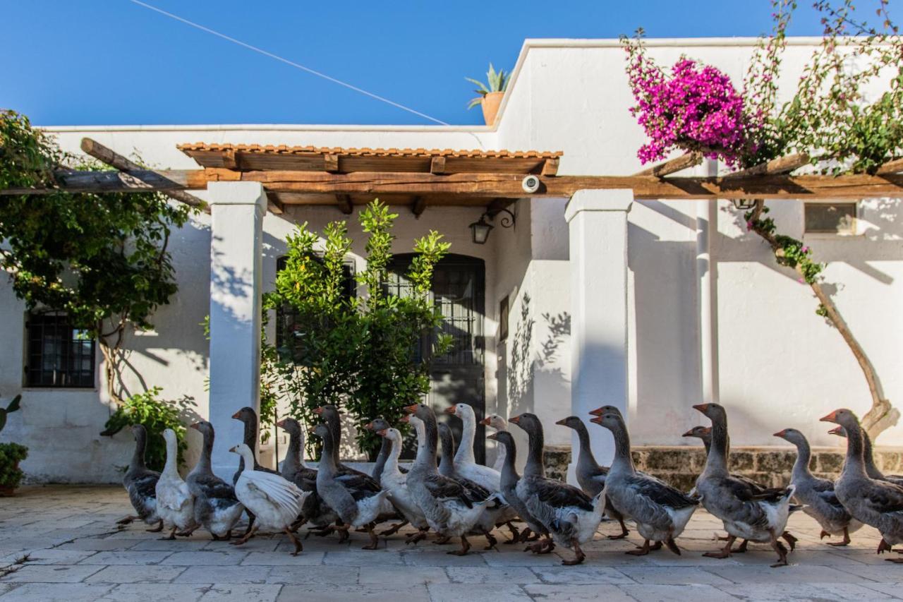Masseria Parco Di Castro Montalbano (Apulia)