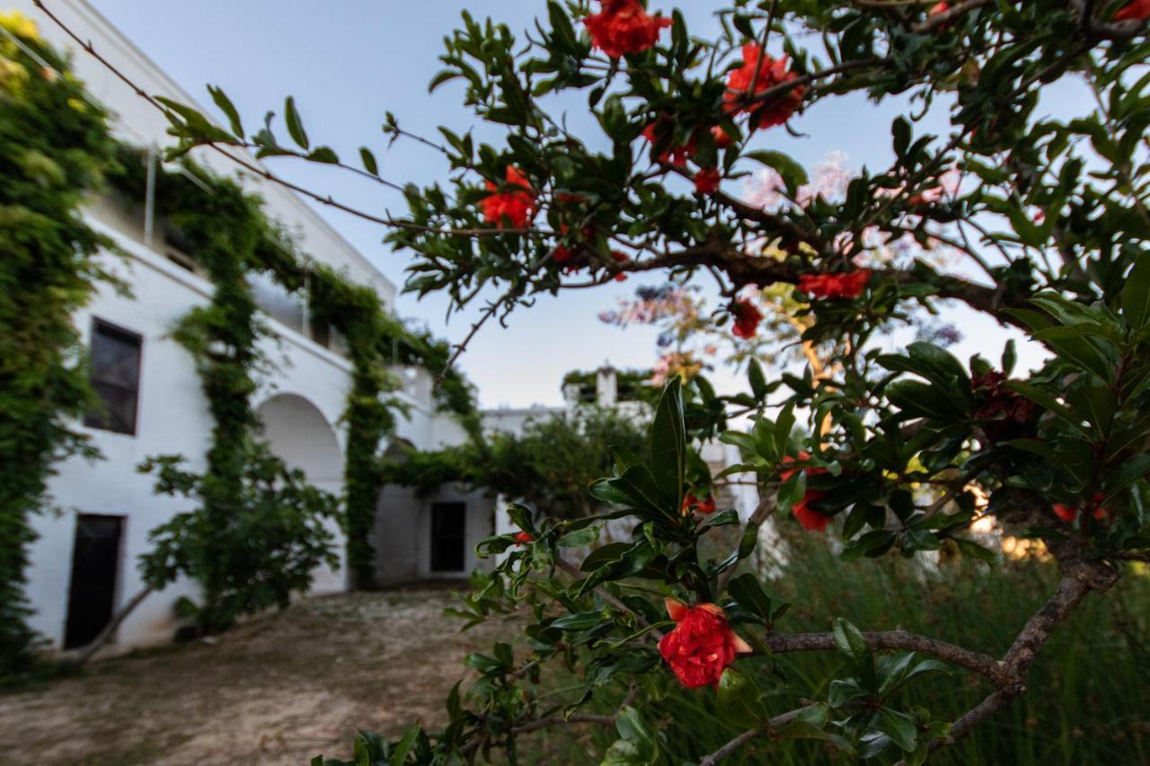 Farm stay Masseria Parco Di Castro *